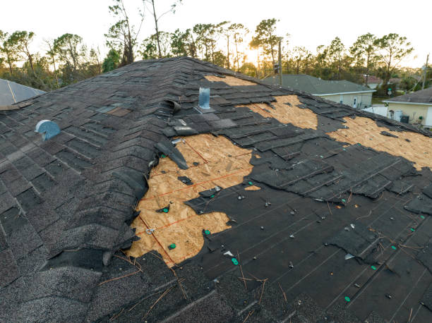 Professional Roofing Service in Sikeston, MO