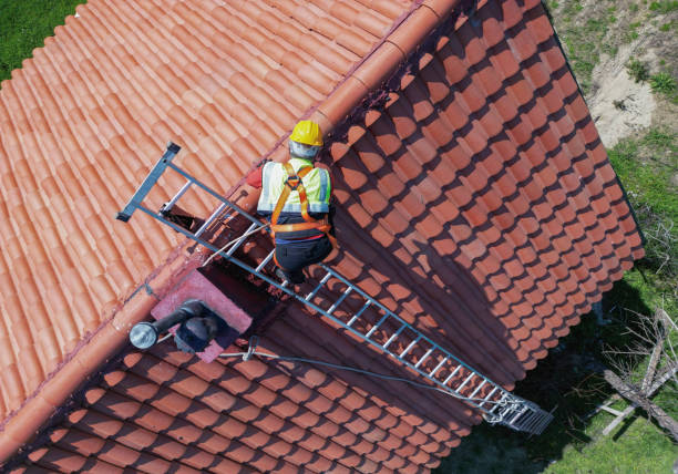 Best Steel Roofing  in Sikeston, MO